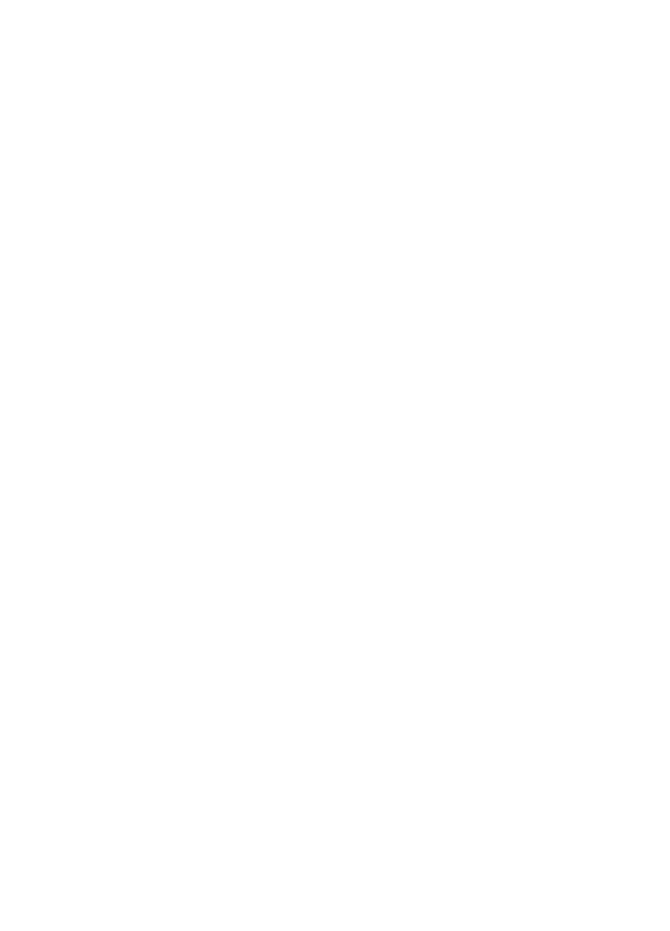 Feu / Guerrier