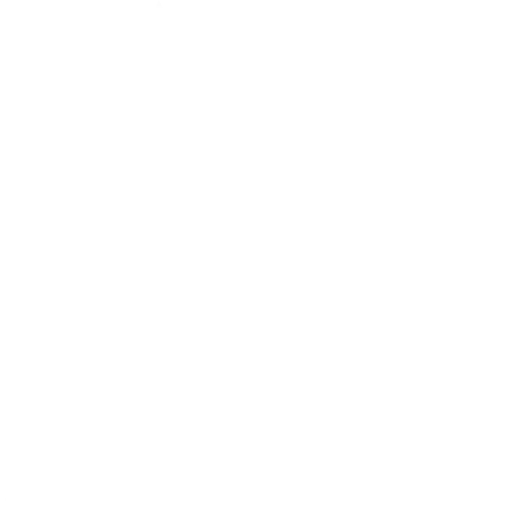 Terre / Roi